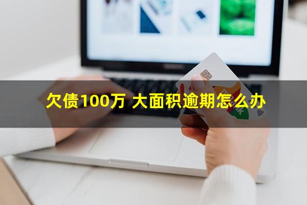 欠债100万 大面积逾期怎么办